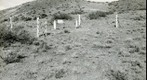 San Simon 1939: WS6-ARIZ-RS-153