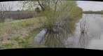 Baker Wetland burnoff