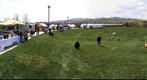 Spring Festival at Thankgiving Point, Lehi, Utah, USA