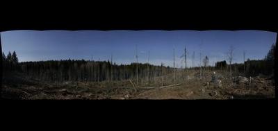 75960-400x189