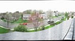 Bradford Pear trees in Catasaqua, PA