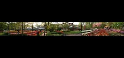 76026-400x189