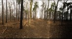 Dairy Bush GigaPan - 87 - April 27 2011