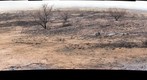 Sonoitafire_042911