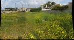 Aaronson st Hadera