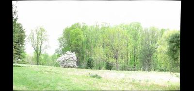 76239-400x189