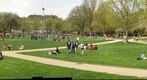 University of Illinois - Main Quad