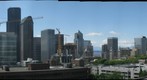 seattle Campion west