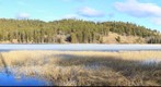 Kidd Lake