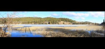 76290-400x189