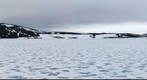 Ziegler Island, Franz Josef Land, Russia 
