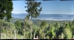 Valdivia