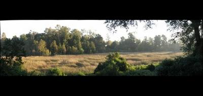 76375-400x189