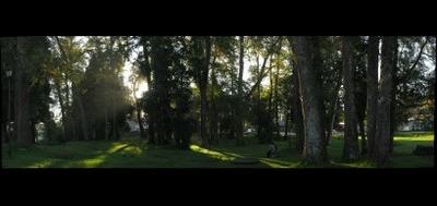 76378-400x189