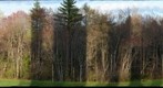 Test with new 500mm lens