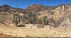 Dubural Hills Gigaplot Apr 2011