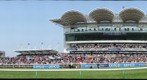 WHERE YOU THERE ? NEWMARKET - 2000 GUINEAS DAY