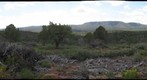 Highline Trail View