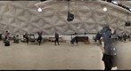 Digital Photography: 360 CCBC DOME Gym