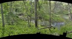 Beaver activity on Coal Creek, in the Vinland Valley