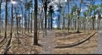 Dairy Bush GigaPan - 88 - May 05 2011