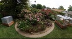 110506 Goleta, California, backyard garden rose circle and raised vegetable beds