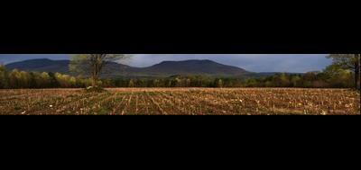 76740-400x189