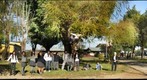 Colegio Teniente Merino Correa, 7 B
