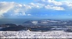 Wicklow