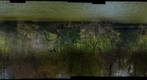 Autopan3