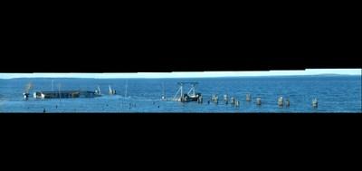 76882-400x189