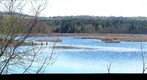 Wickham Marsh Flooded