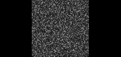 7695-400x189