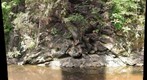 Antiform in Mather Gorge Formation
