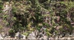 Folded metamorphic rocks exposed on C&amp;O Canal
