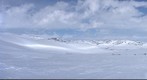 Hardangervidden