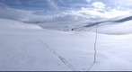 Hardangervidden