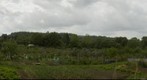 Bear Flats Allotments
