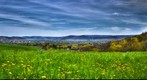 Elmira, NY