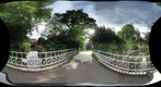 Sydney Gardens VI