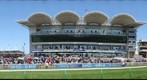 NEWMARKET 1000G DAY GRP1