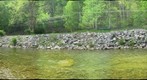Cherry River 2