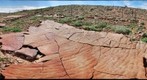 Ediacaran T4 Bed