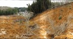 Landslide near Shirakawa, Japan triggered by the 2011 Tohoku-Oki Earthquake