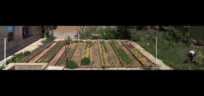 77200-400x189