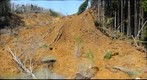 Landslide near Shirakawa, Japan triggered by the 2011 Tohoku-Oki Earthquake