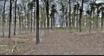 Dairy Bush GigaPan - 89 - May 12 2011