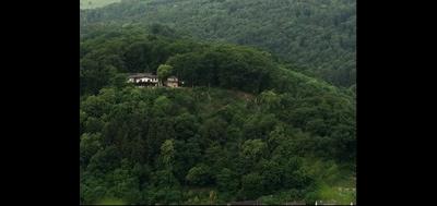 77365-400x189