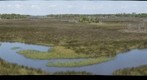 The Withlacoochee Gulf Preserve