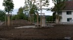 Brunnaderngut - new trees just planted